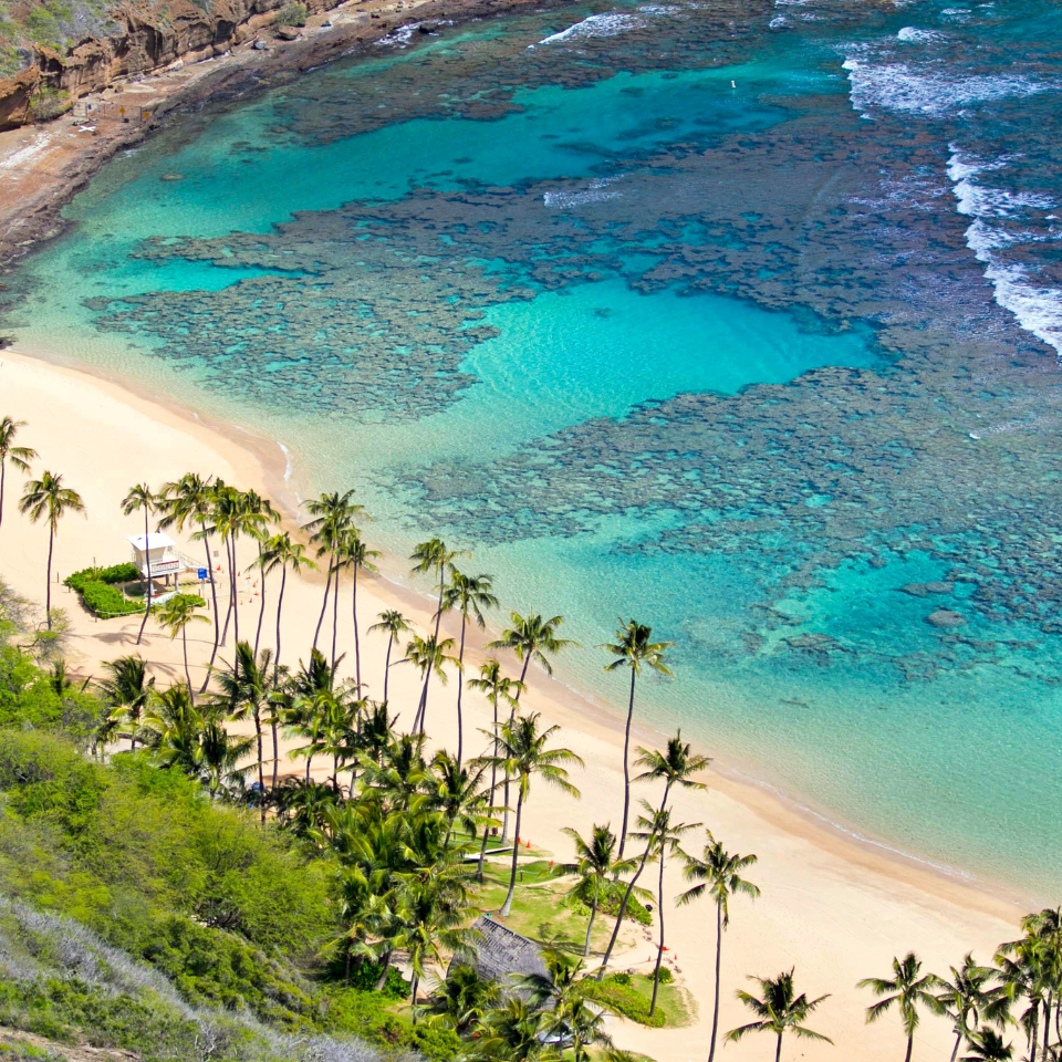 Hanauma Bay Glass Band